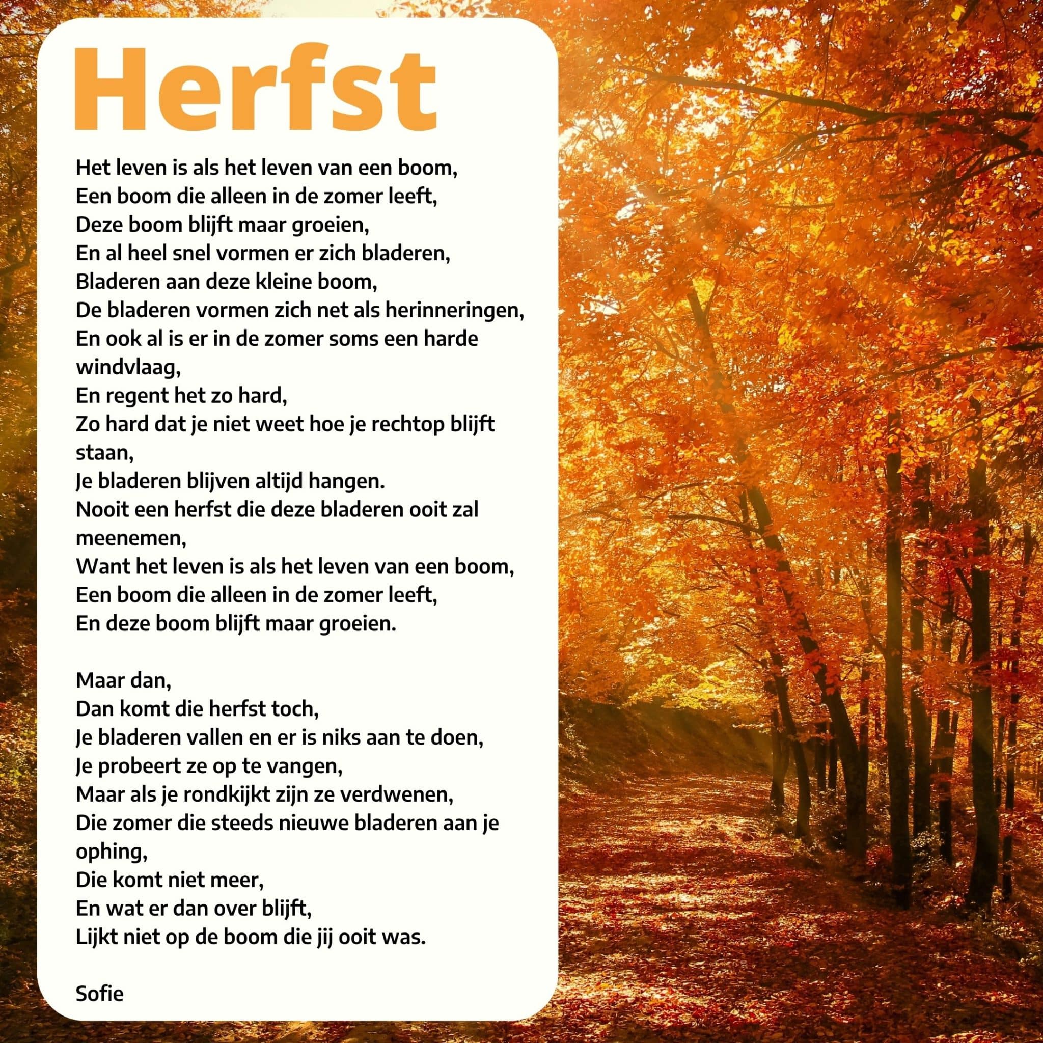gedicht herfst